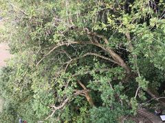 -东坡赤壁风景名胜区