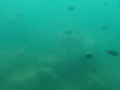 -亚龙湾海底世界