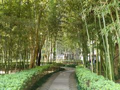 -兰亭风景区