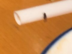 -虹梅食堂·爱蝦乃家