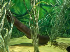 -上海海洋水族馆