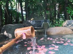 -厦门日月谷温泉渡假村