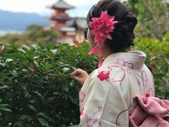 -京都冈本和服体验租赁店(清水寺店)