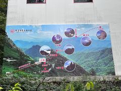 -朱雀国家森林公园