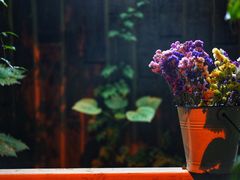 -斯多格书乡(北京大学畅春园店)