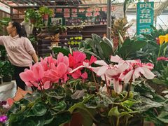 -秦美花卉(天朗·莱茵小城2期店)