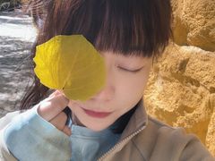 -罗布林卡