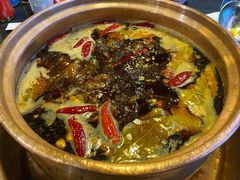 -镇江龙·火锅串串(武侯祠店)