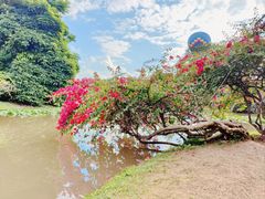 -中国科学院西双版纳热带植物园