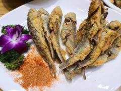 -西北莜面村(太原店)