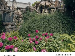 -莲池书院博物馆