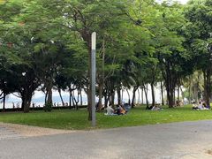 -深圳湾公园(南山区)