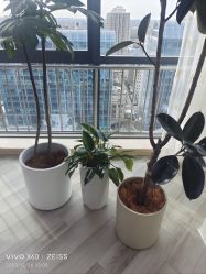 -HEYAN荷妍专业脱毛连锁机构