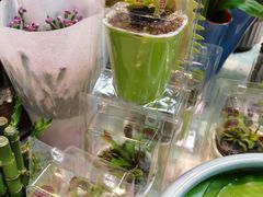 -三旗百汇商品城