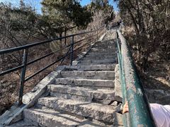 -香山公园