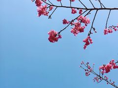 -福清灵石山国家森林公园