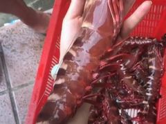 -虾易落味(杭州黄龙万科中心店)