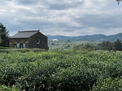 -乌石村