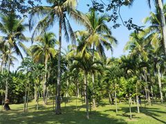-中国科学院西双版纳热带植物园