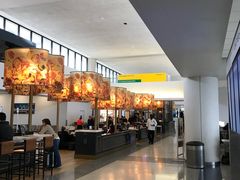 -纽瓦克自由国际机场