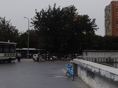 -呼家楼(地铁站)