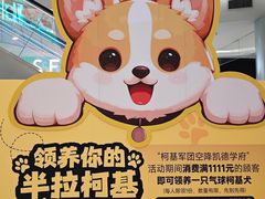 -凯德广场(学府店)