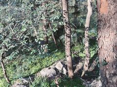 -城隍阁