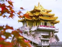 -阳阳中国饭(北京荟聚店)