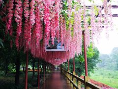 -四会奇石河风景区