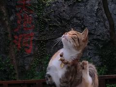 -南山风景名胜区