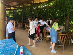-蒲河岛湿地公园