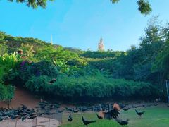 -西双版纳勐泐文化旅游区