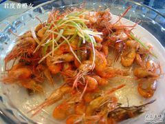 市里吃不到的鲜美小河虾-锦江中华村农家乐饭庄