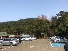 -汉拿树木园