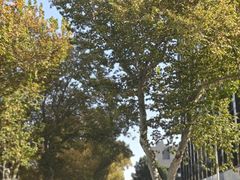 -长江路历史文化街区