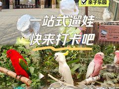 -南宫五洲植物乐园