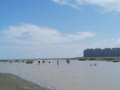 -启东黄金海滩景区