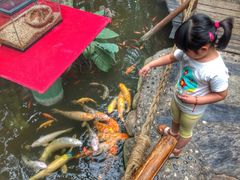 iphone_upload_pic-上海昆虫博物馆