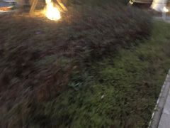-凤翔首邑温泉度假村