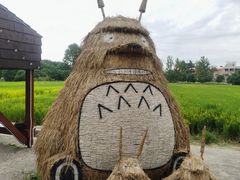 -嘉北郊野公园