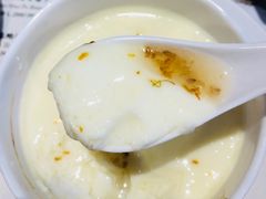 -义顺牛奶公司(新马路老店)