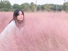 -鹅湖玫瑰文化园