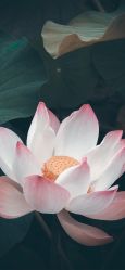 点击看大图 -MAKE SENSE美可沙龙