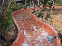 -香港海洋公园