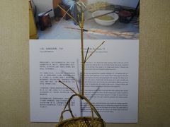 金山区枫泾镇新华村采访实录-徐汇艺术馆