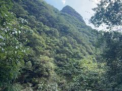 -鄣山大峡谷