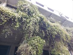 -广州市紫泥堂文化创意园景区