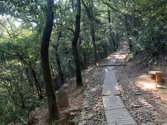 -西湖风景区十里琅珰-五云山