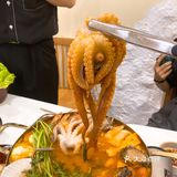 好大的八爪鱼哦🦑