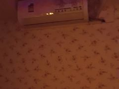 -金橙子足浴·按摩·SPA会所(龙华店)